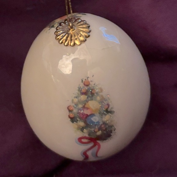 Hand Painted Christmas Egg Ornament Real Eggshell
Вy
Clara Lee
Hen Egg. - Picture 3 of 7